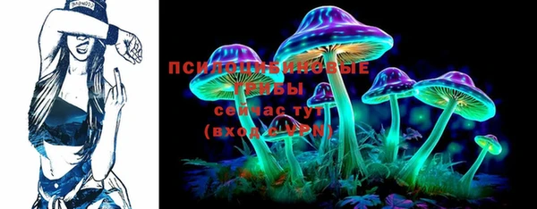 хмурый Аркадак