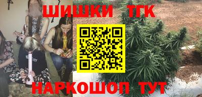 индика Моздок