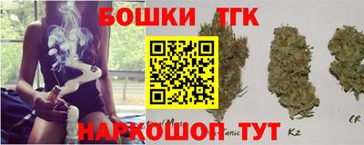 индика Моздок