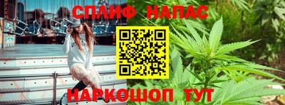 индика Моздок