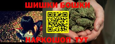 индика Моздок