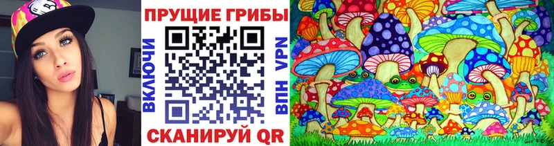 Галлюциногенные грибы прущие грибы  Волоколамск 
