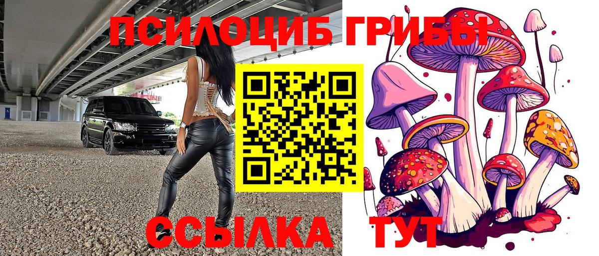 Галлюциногенные грибы прущие грибы  Псилоцибиновые грибы Psilocybine cubensis  Волоколамск 