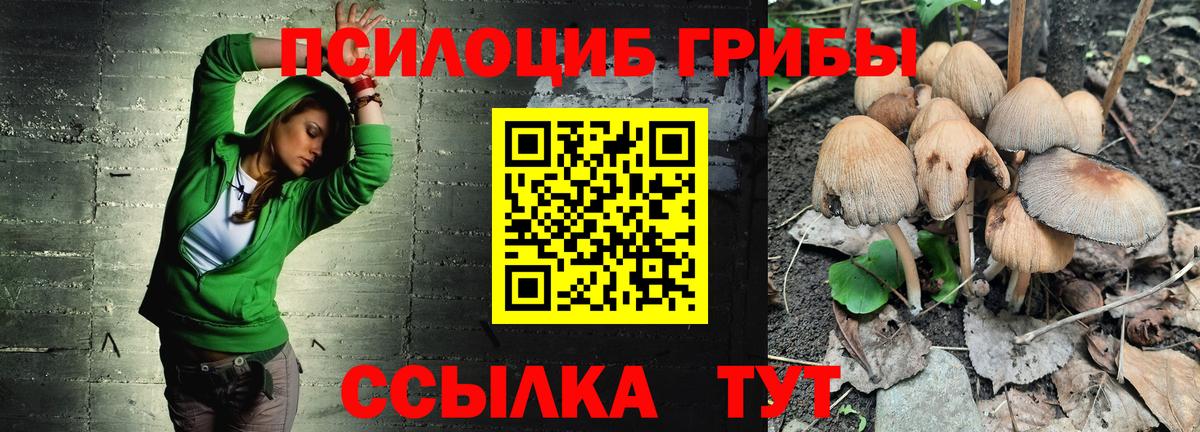 Галлюциногенные грибы Cubensis  цены наркотик  Волоколамск  Вход с VPN 